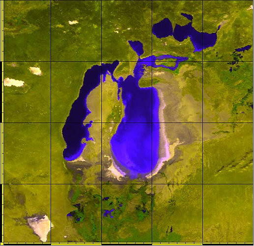 Разделение Аральского моря (снимок MODIS 03.10.2002) (из Zavialov,2005).
